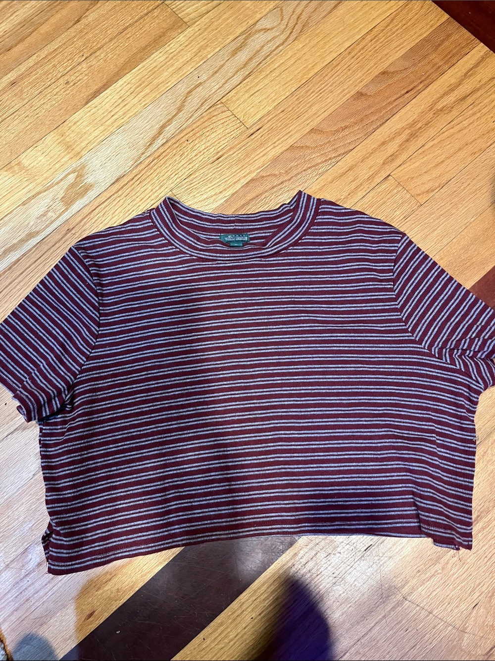 wild fable Burgundy and White Striped Crop Top